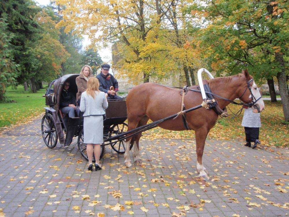 Vihula Manor Country Club & Spa Екстериор снимка